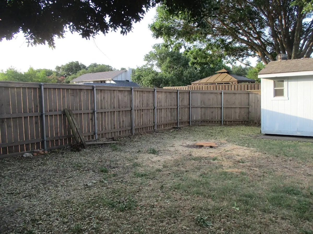 Cleared yard after professional tree removal in Export